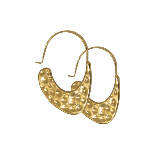 Looped In Earrings